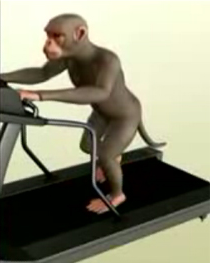 Foto macaco digital: As animações divulgadas pela mídia escondem o verdadeiro aspecto torturante da pesquisa.